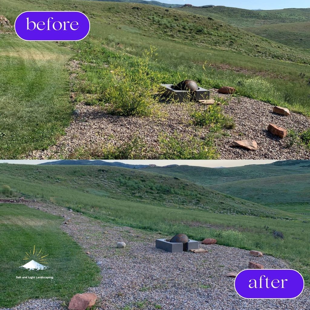 seasonal yard cleanup