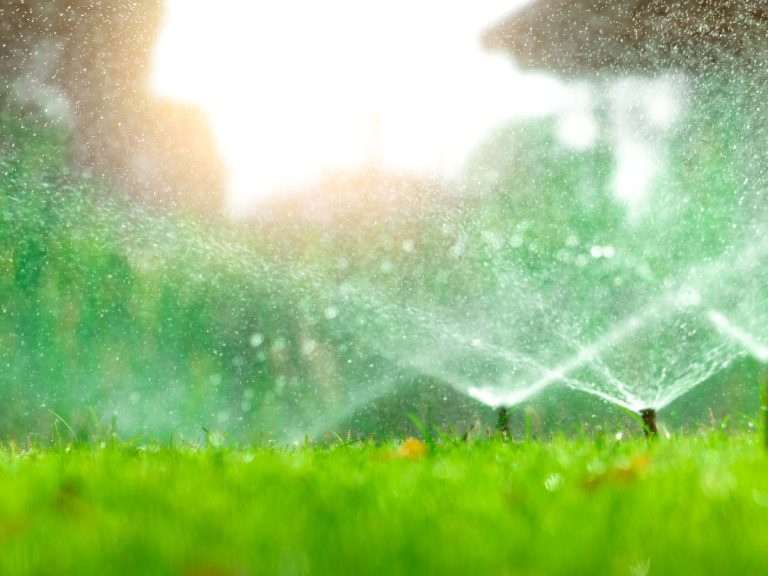 Lawn Sprinklers turned on