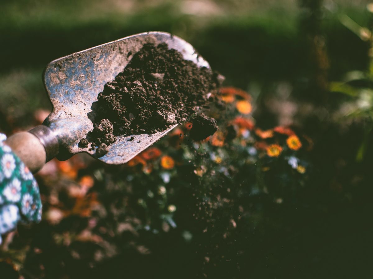 garden hand shovel spreading super soil